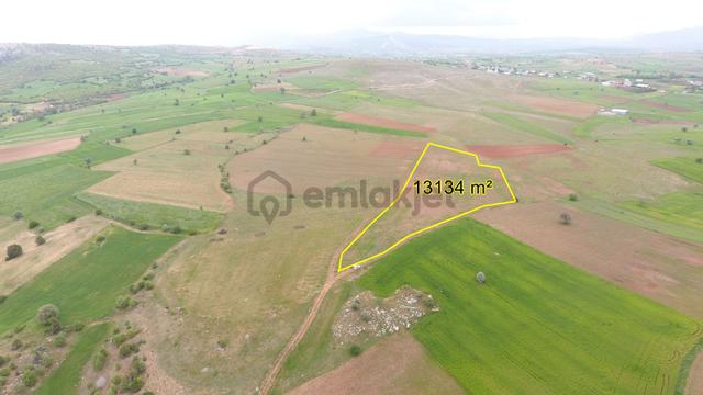 Konya / Derbent / Saraypınar Mahallesinde 13.134 M² Müstakil Tapulu Tarla 3