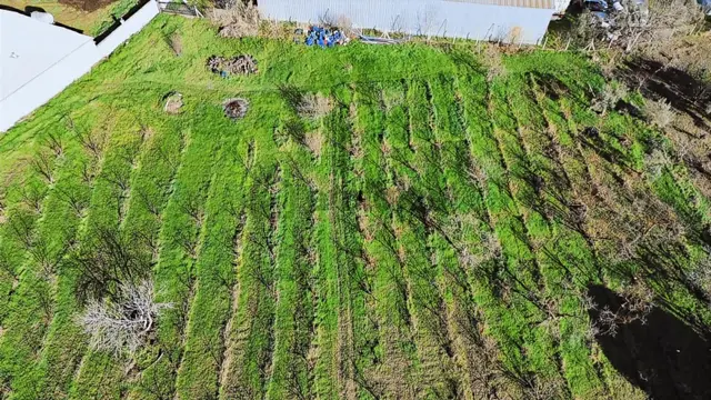 Kemalpaşa Merkez Dsi Yakını Satılık 10042 M2 Arazi 1