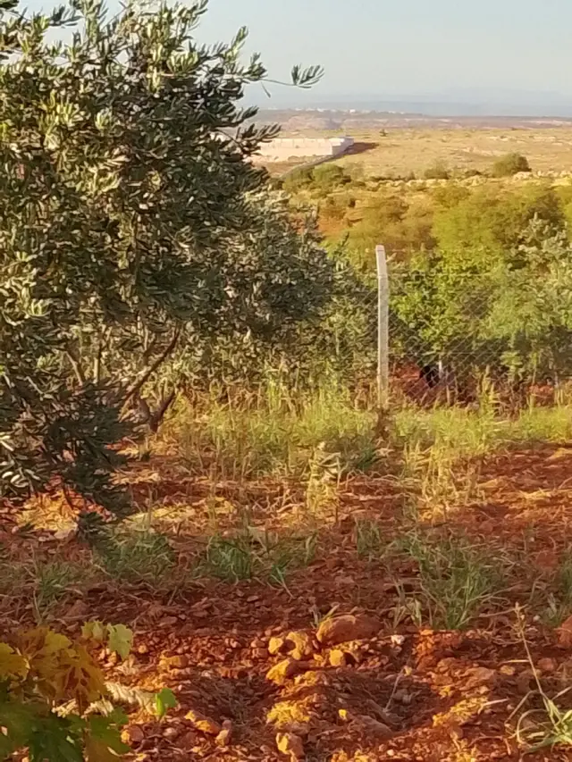 Alıcısına Hayırlı Olsun 3