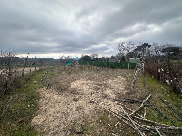 Mera Emlaktan Havran Kalabak Mevki 382 M2 Köşe Parsel Tarla 4