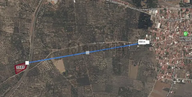 Manisa Akhisar Süleymanlı Mahallesinde Satılık Yola Sıfır Zeytinlik 2