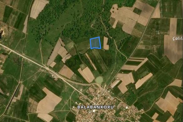 Edirne Balabankoru Satılık Tarla 3