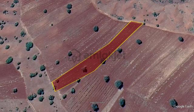 Konya / Güneysınır / Kızılöz Mahallesinde 2.742 M² Müstakil Tapulu Tarla 2