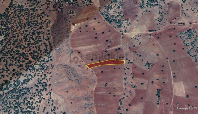 Konya / Güneysınır / Kızılöz Mahallesinde 2.742 M² Müstakil Tapulu Tarla 3