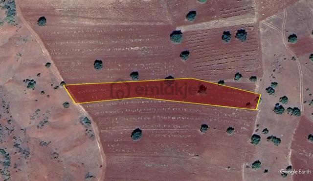 Konya / Güneysınır / Kızılöz Mahallesinde 2.742 M² Müstakil Tapulu Tarla 5