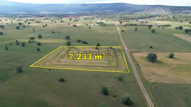 Akören Ağalar Da 7.233 M2 Müstakil Tapulu Tarla 5