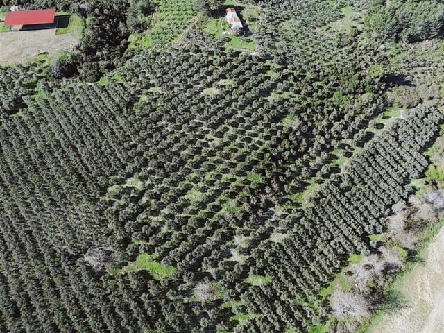 Kuşadası'nda Deniz Manzaralı Yatırıma Uygun Arsalar... 5
