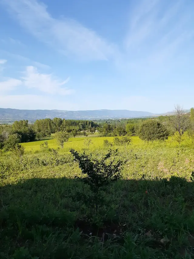 Yankı'dan Pazar Erkilet Mh. De Suyu Olan 3.567m2 Bahçeli Bağ Evi 5