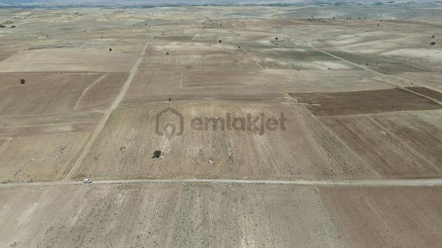 Konya / Akören / Orhaniye Mahallesinde 8.834 M² Hisse Tapulu Tarla 2