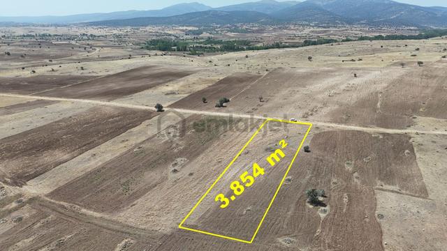 Konya / Akören / Tülce Mahallesinde 3.854 M² Müstakil Tapulu Tarla 1