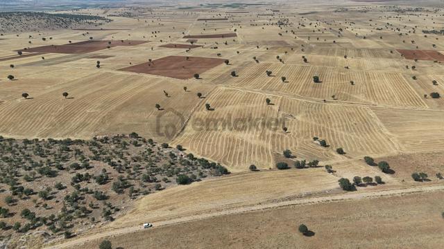 Konya / Akören / Alan Mahallesinde 5.615 M² Hisse Tapulu Tarla 3