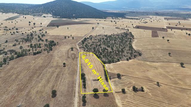 Konya / Akören / Alan Mahallesinde 5.615 M² Hisse Tapulu Tarla 1