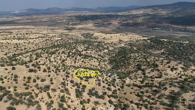 Konya / Akören / Belkuyu Mahallesinde 2.032 M² Müstakil Tapulu Tarla 5