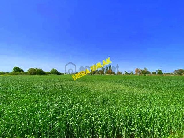 ▄▀mera Emlaktan Kızıklı Mevki Emsalsiz Konumda 10.100 M2 Tarla 3