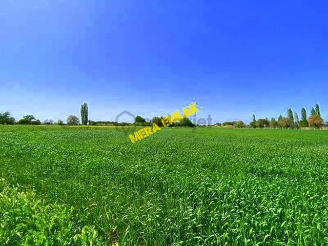 ▄▀mera Emlaktan Kızıklı Mevki Emsalsiz Konumda 10.100 M2 Tarla 5