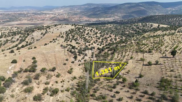 Konya / Akören / Belkuyu Mahallesinde 1.351 M² Müstakil Tapulu Bahçe 4