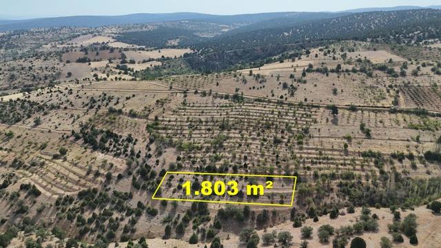 Konya / Akören / Belkuyu Mahallesinde 1.803 M² Müstakil Tapulu Bahçe 2