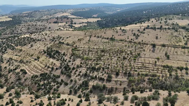Konya / Akören / Belkuyu Mahallesinde 1.803 M² Müstakil Tapulu Bahçe 4