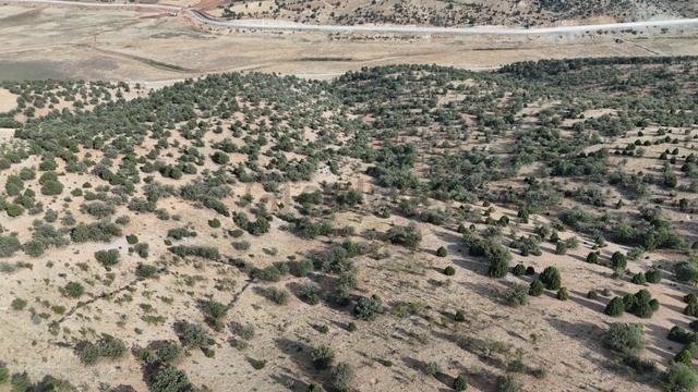 Konya / Akören / Belkuyu Mahallesinde 2.884 M² Müstakil Tapulu Bağ 2