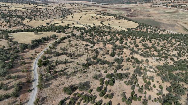 Konya / Akören / Belkuyu Mahallesinde 2.884 M² Müstakil Tapulu Bağ 5