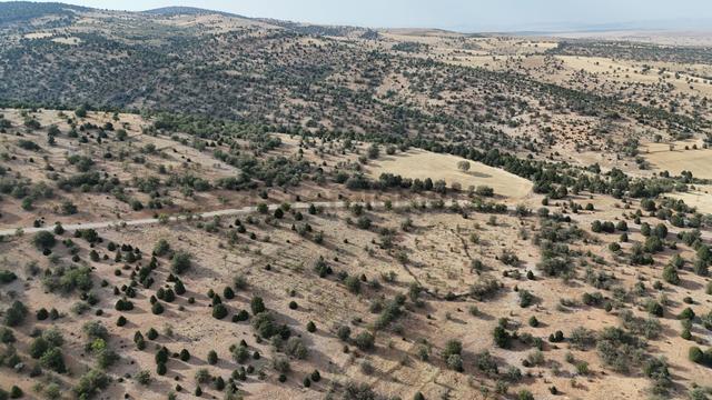 Konya / Akören / Belkuyu Mahallesinde 2.884 M² Müstakil Tapulu Bağ 4