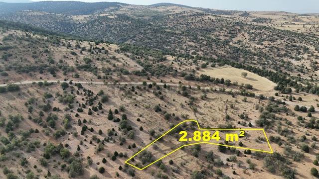 Konya / Akören / Belkuyu Mahallesinde 2.884 M² Müstakil Tapulu Bağ 1
