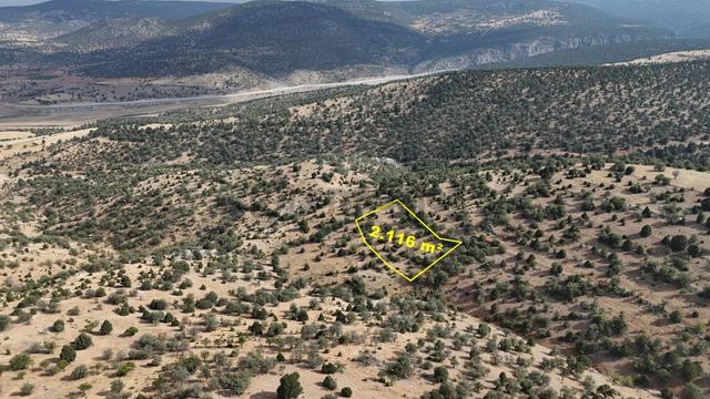 Konya / Akören / Belkuyu Mahallesinde 2.116 M² Müstakil Tapulu Bağ 1