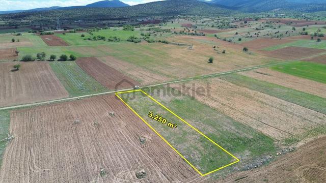 Akören Tülce De 3.250 M2 Müstakil Tapulu Tarla 3