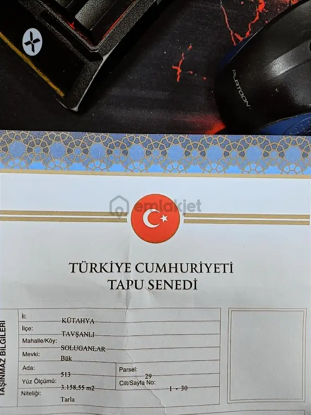 Kütahya Tavşanlı-balıköy Asfalt Üzeri 3158m2 Satılık 3