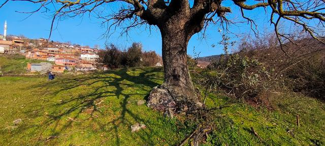 600 M² %40 Oturum Ve Ve 2 Katlı İmarlı Köy Arsası Cicikler Köyü, Çan Çanakkale 4