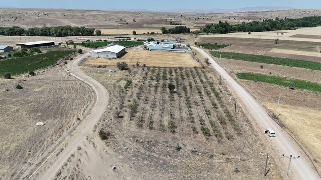 Konya / Akören / Tülce'de 300 Ağaçlık 5.638 M² Tarla Satılık 2