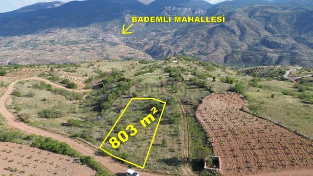 Konya / Hadim / Yukarıeşenler Mahallesinde 803 M² Müstakil Tapulu Tarla 2