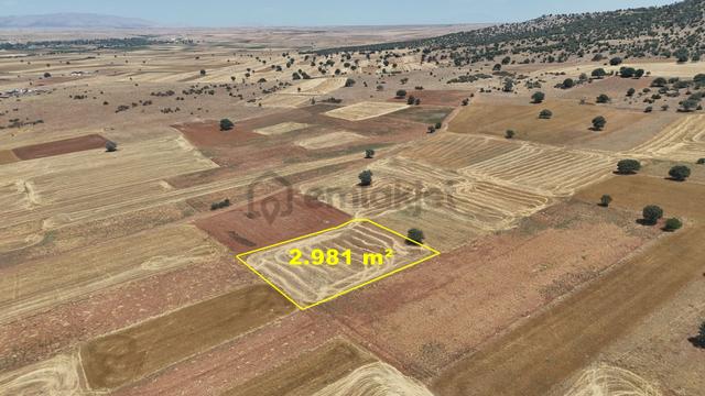 Konya / Akören / Hacılar Mahallesinde 2.981 M² Müstakil Tapulu Tarla 5