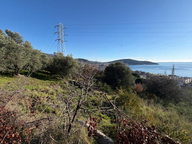 Erdek Ocaklar'da 1550m2 Deniz Manzaralı Satılık Zeytinlik 5