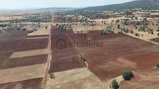 Konya / Akören / Tülce Mahallesinde 2.697 M² Müstakil Tapulu Tarla 3