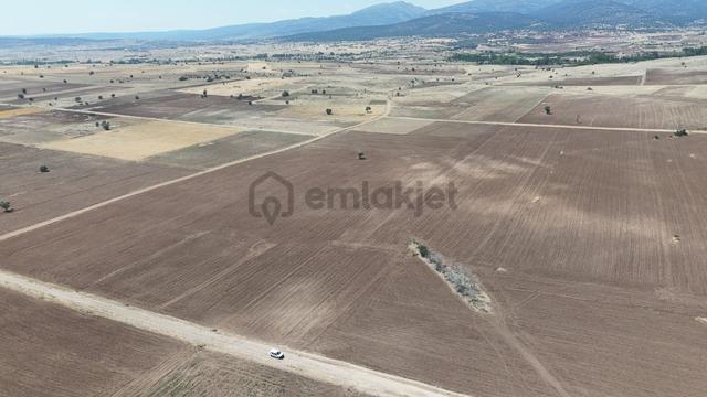 Konya / Akören / Tülce Mahallesinde 2.169 M² Müstakil Tapulu Tarla 2