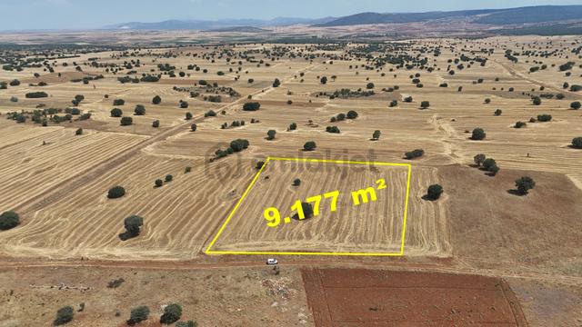 Konya / Akören / Ağalar Mahallesinde 9.177 M² Müstakil Tapulu Tarla 4