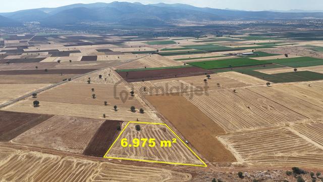 Konya / Akören / Karahüyük Mahallesinde 6.975 M² Müstakil Tapulu Tarla 2