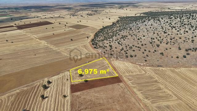 Konya / Akören / Karahüyük Mahallesinde 6.975 M² Müstakil Tapulu Tarla 4