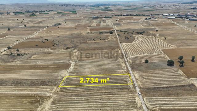 Konya / Akören / Tülce Mahallesinde 2.734 M² Müstakil Tapulu Tarla 3