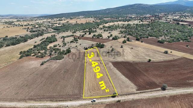Konya / Akören / Tülce 3.494 M² Müstakil Tapulu Tarla 1