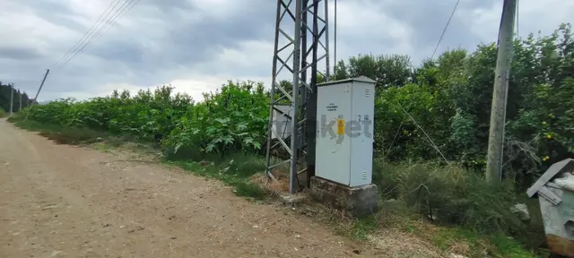Muğla Ortaca Fevziye De Denize Yakın Müstakil Tapulu 6.200 M2 Bahçe Satılık 2