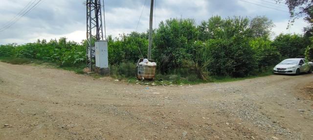 Muğla Ortaca Fevziye De Denize Yakın Müstakil Tapulu 6.200 M2 Bahçe Satılık 4