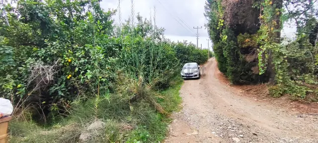 Muğla Ortaca Fevziye De Denize Yakın Müstakil Tapulu 6.200 M2 Bahçe Satılık 3
