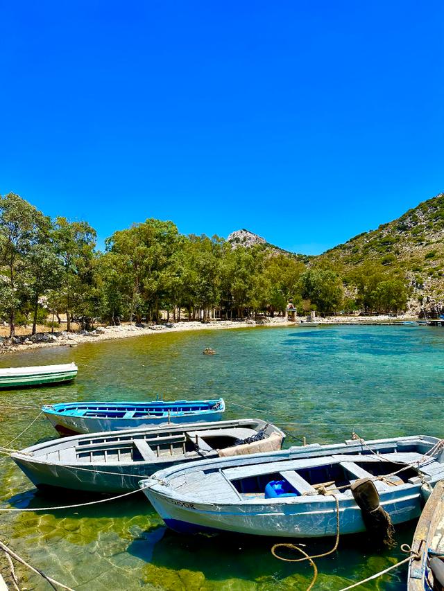 Joker: Marmaris Taşlıca Eski Köy Evi Ve Tarlası 4