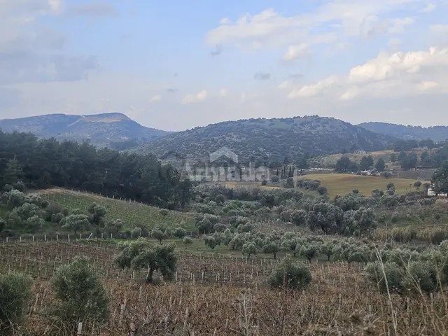 Kuşadası Kirazlı'da Satılık Tek Tapu Tarla Kuşadası Kirazlı'da Satılık Tek Tapu Tarla