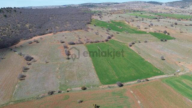 Konya / Ilgın / Belekler Mahallesinde 5.141 M² Müstakil Tapulu Tarla 3