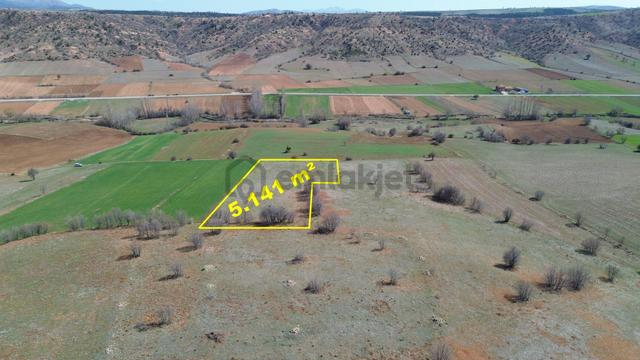 Konya / Ilgın / Belekler Mahallesinde 5.141 M² Müstakil Tapulu Tarla 1