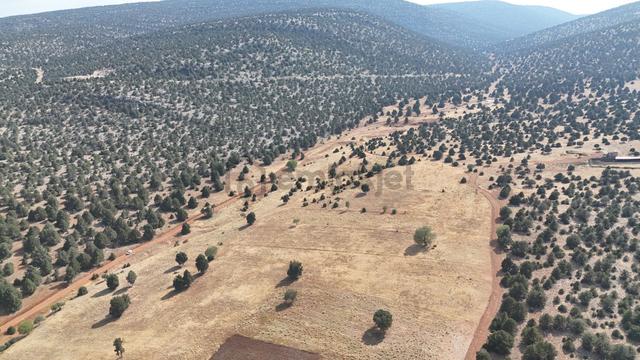 Konya / Akören / Karahüyük Mahallesinde 3.102 M² Müstakil Tapulu Tarla 3