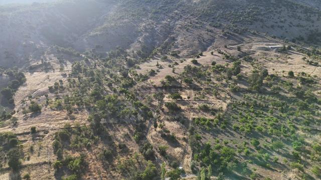 Konya / Meram / Yeşiltekke Mahallesinde 1.062 M² Müstakil Tapulu Tarla 2
